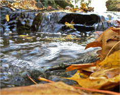 秒发卡不等待的网站防ddos攻击